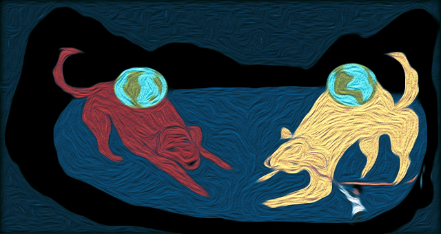 On the Backs of Two Dueling Dogs by Andie Bottrell